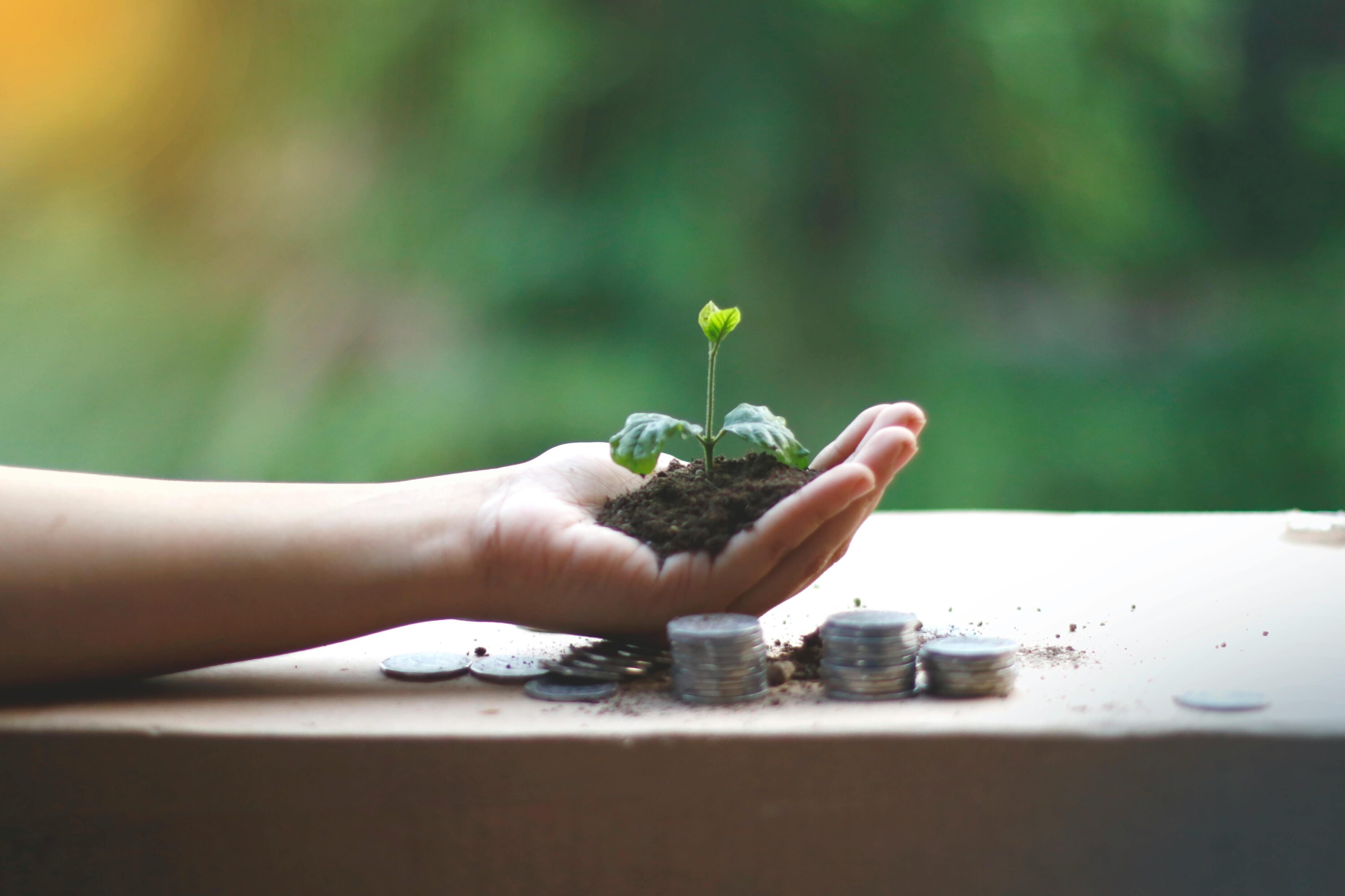 Person holding money with soil and a small plant coming out of it.