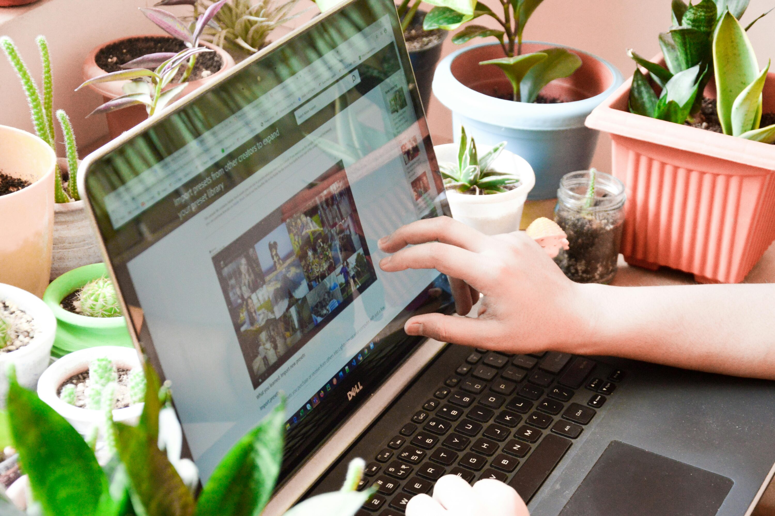 Hands are seen typing on a laptop on a desk, the desk is filled with loads of plants.